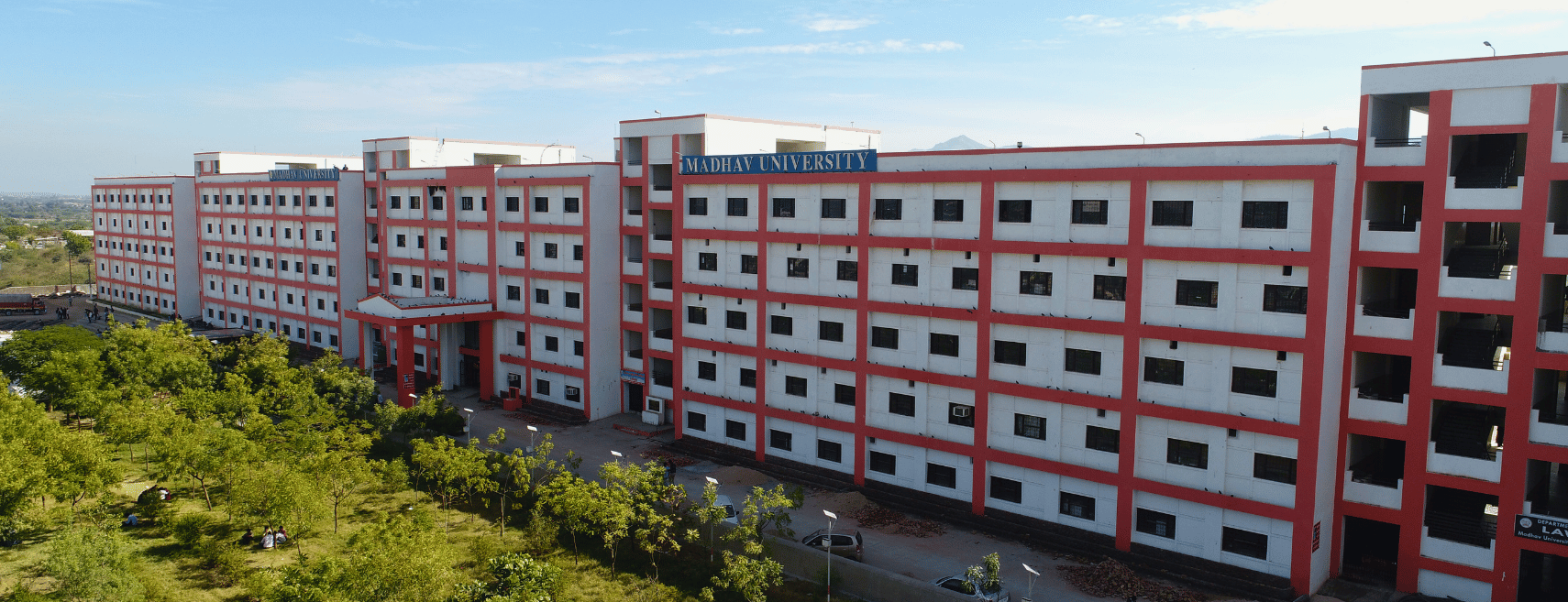 undergraduate education